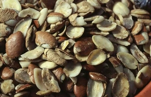 African Mango Seed